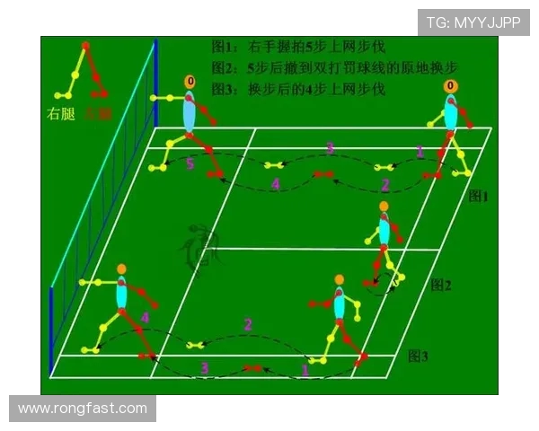 从零基础到高手之路羽毛球技巧与训练全解析