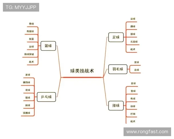 广州排球队整体压制战术解析与实战应用探讨